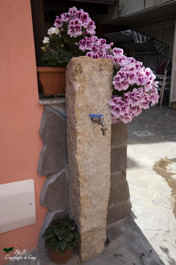 L'Agrifoglio Di Emy Bed & Breakfast Guspini Bagian luar foto