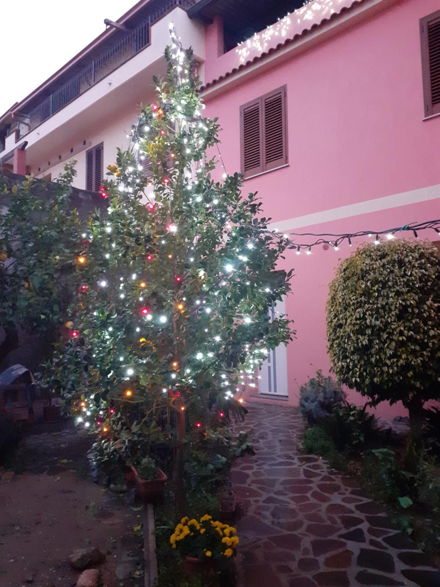L'Agrifoglio Di Emy Bed & Breakfast Guspini Bagian luar foto